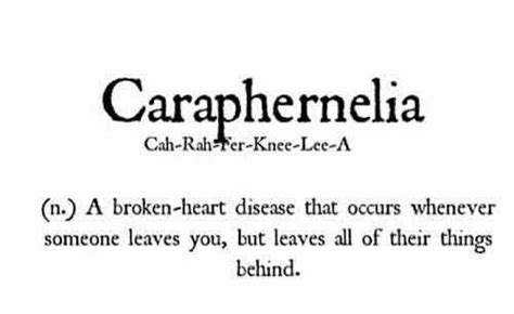 meaning of caraphernelia